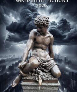 Naked Little Fictions: 2029 by Brian J. Shircliff